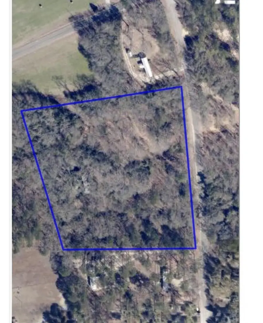 285 Garvin Drive, Wagener, SC 29164 - #2