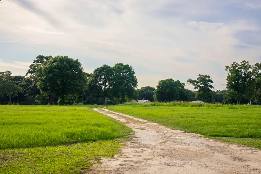 500 Burkelo Road, Wagener, SC 29164 - #3