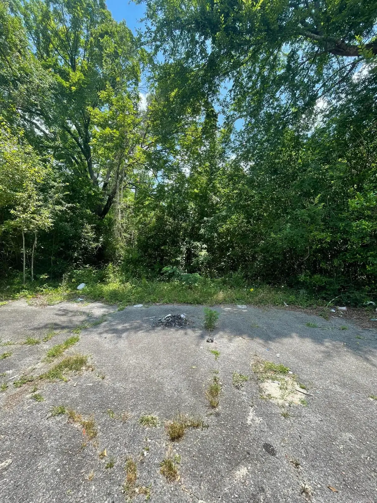 00 Church Street, Graniteville, SC 29829 - #1