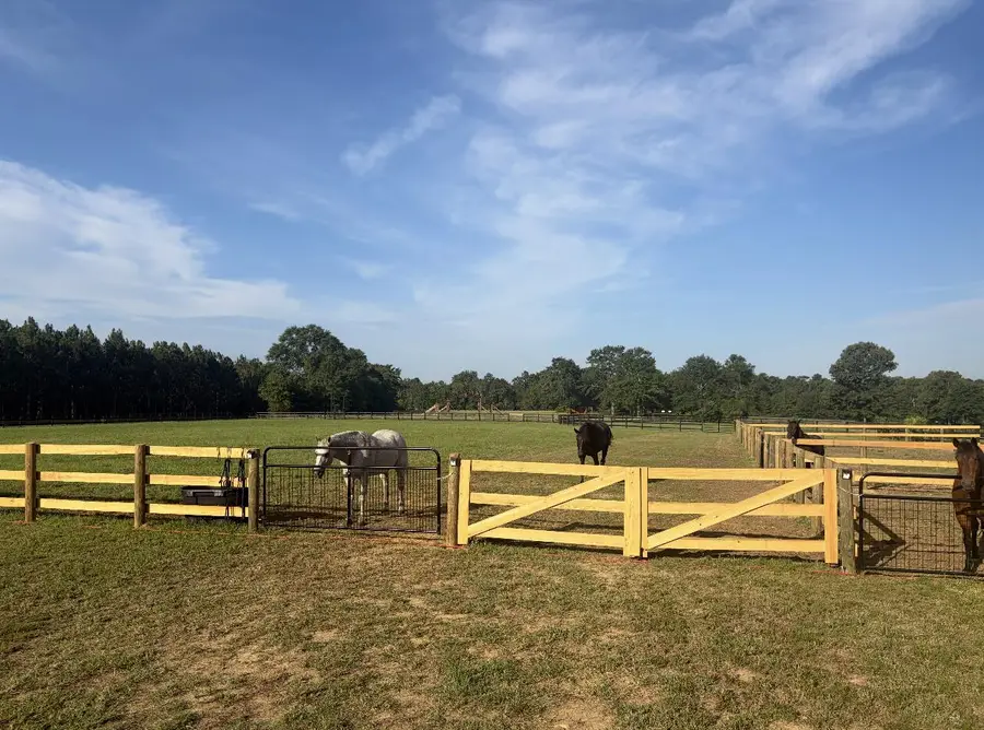 601 Bethcar Church Road, Wagener, SC 29164 - #3