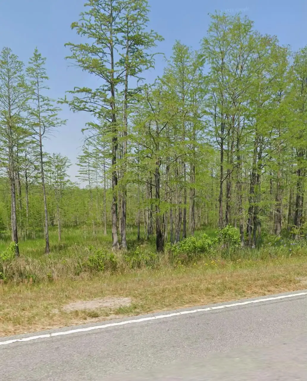 11430 Main Highway, Olar, SC 29843 - #1