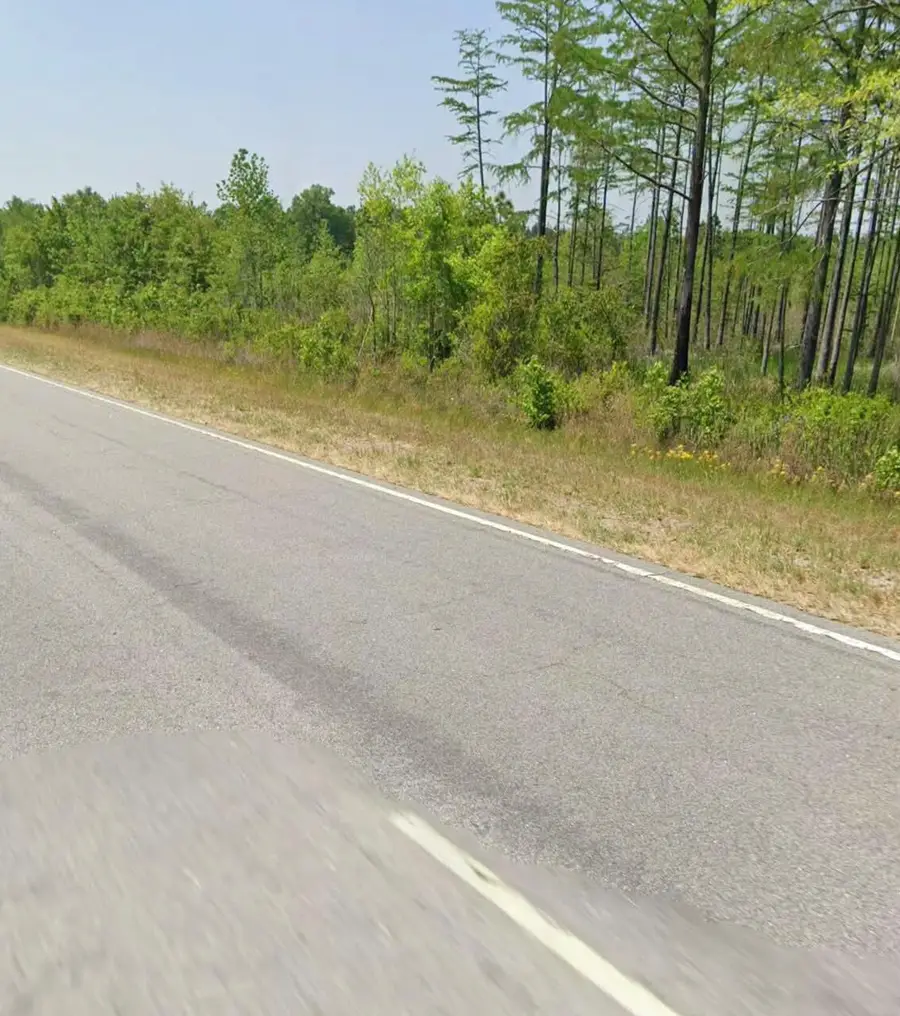 11430 Main Highway, Olar, SC 29843 - #2