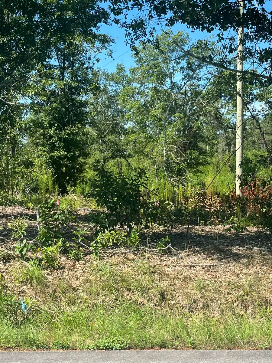 9c Piper Road, Trenton, SC 29847 - #3