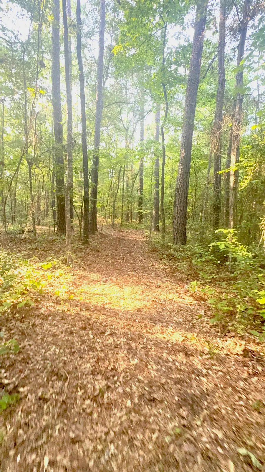 000 Old Whiskey Road S, New Ellenton, SC 29809 - #2