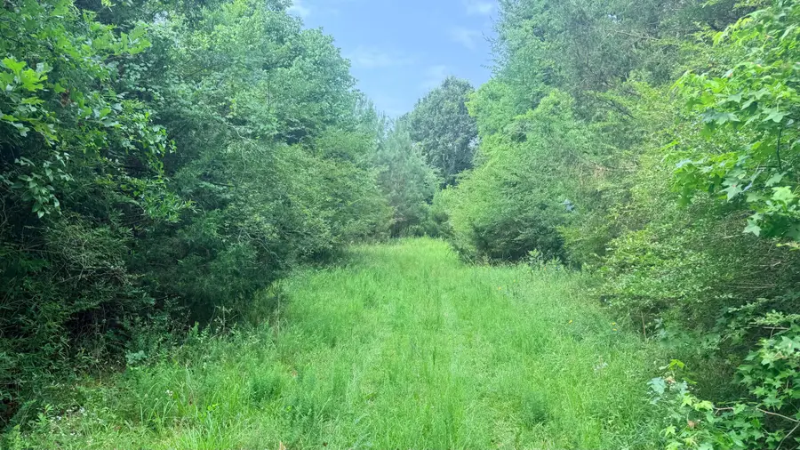 00 Old Cherokee Trail, Saluda, SC 29138 - #3