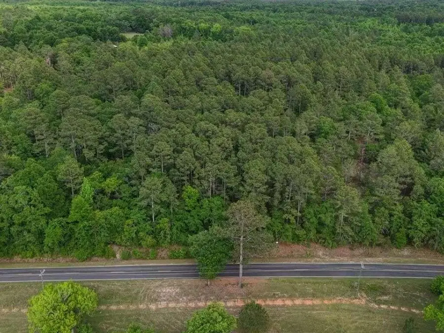 0 Lot 2 Holiness Church Road, Wagener, SC 29164 - #2