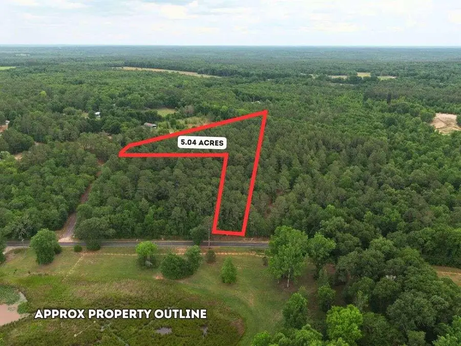 0 Lot 2 Holiness Church Road, Wagener, SC 29164 - #3