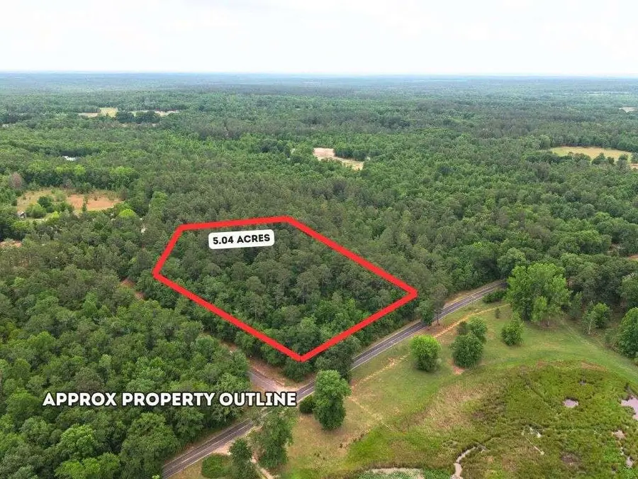 0 Lot 3 Holiness Church Road, Wagener, SC 29164 - #2