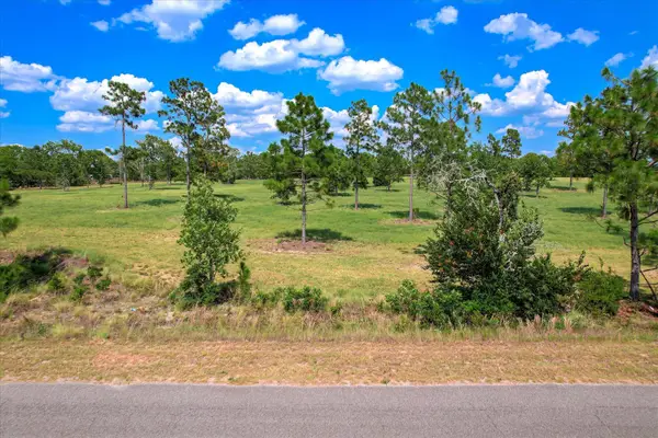 16.12 Acre Bethcar Church Road, Wagener, SC 29164
