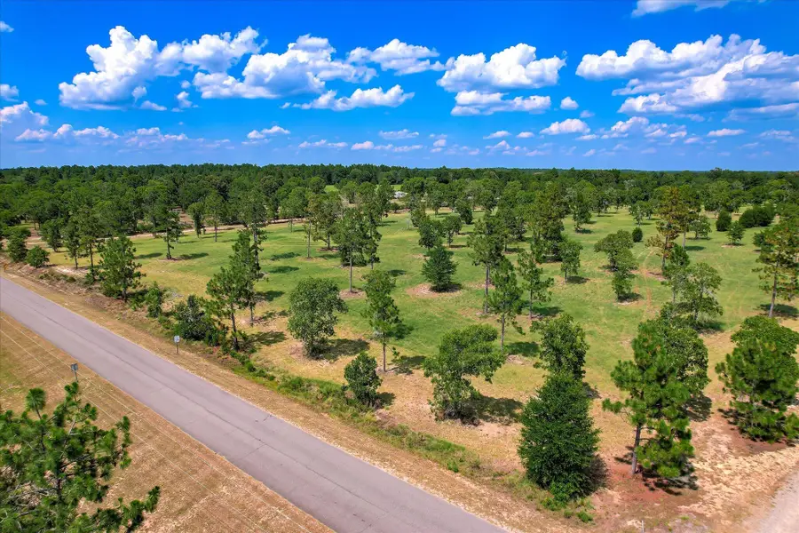 16.12 Acre Bethcar Church Road, Wagener, SC 29164 - #2