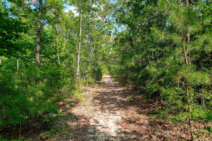 16.12 Acre Bethcar Church Road, Wagener, SC 29164 - #3