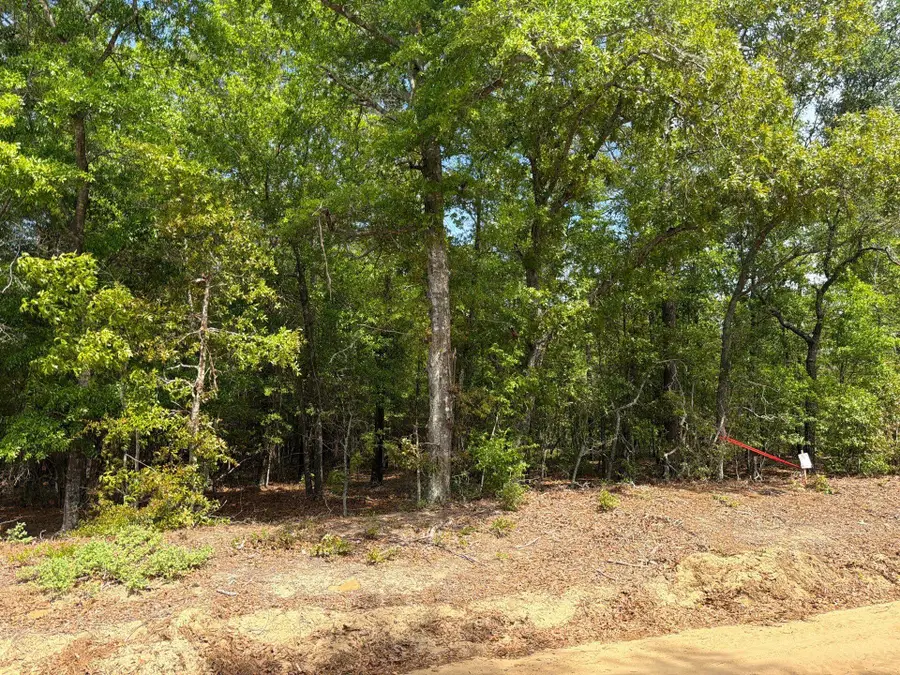 Rrf 1 Rogers Cemetery Road #Rrf 1, Salley, SC 29137 - #2