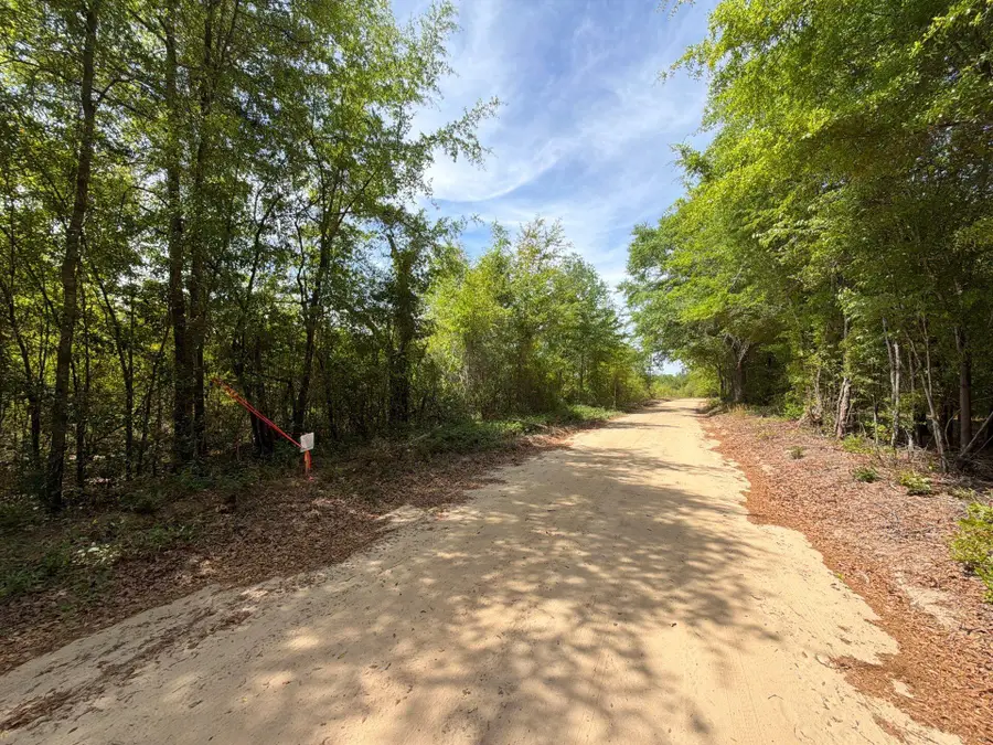 Rrf 6 Rogers Cemetery Road #Rrf 6, Salley, SC 29137 - #3