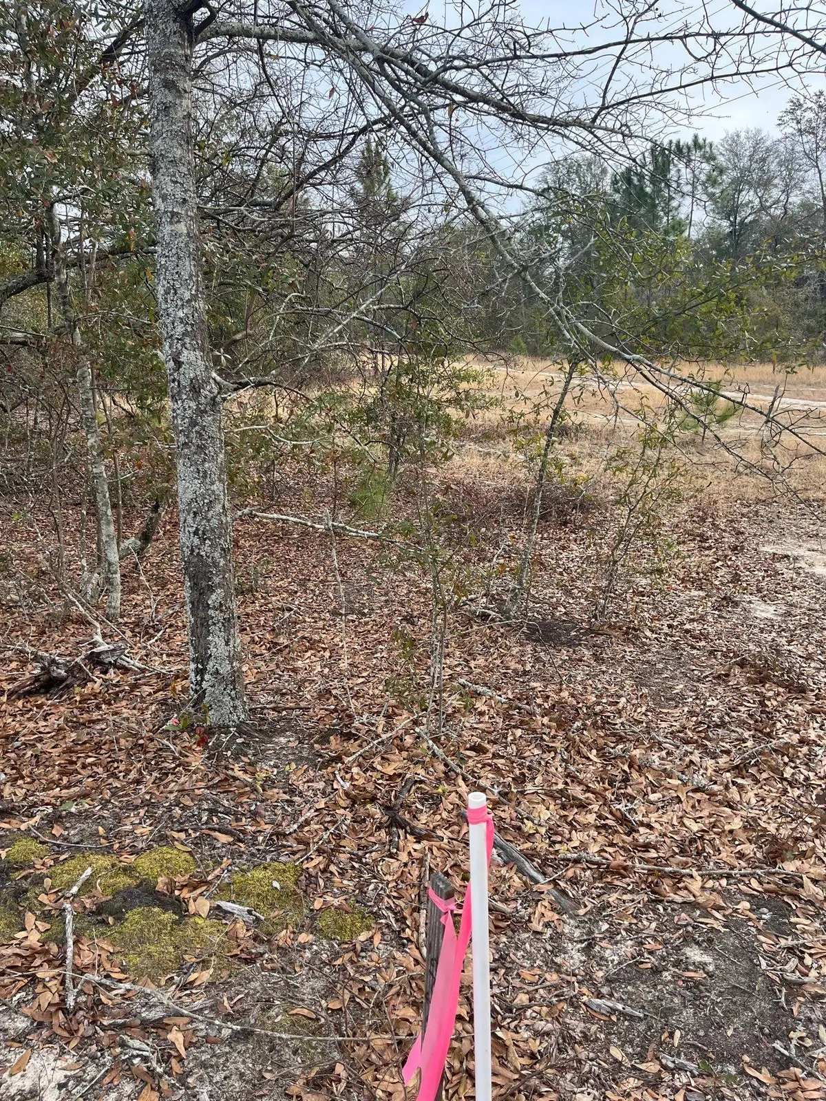 Whl 7 Rainbow Drive #Whl 7, Salley, SC 29137 - #1