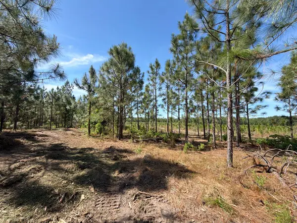 Hrf 3 Holstein Road #Hrf 3, Wagener, SC 29164