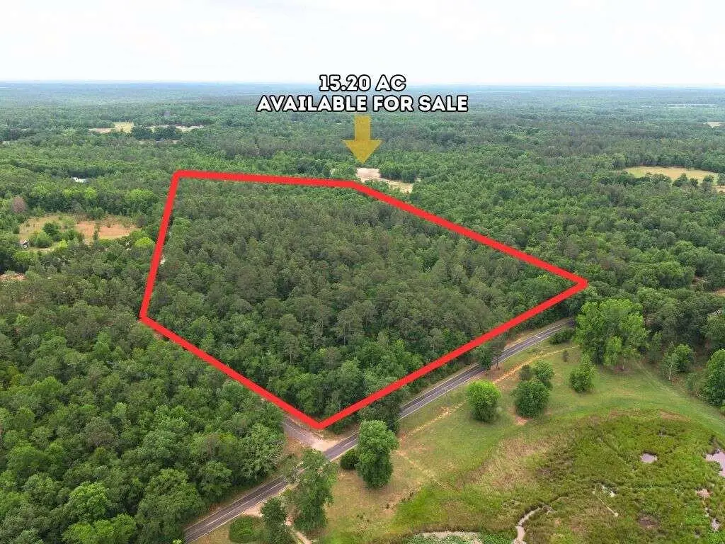 Lot 4 Holiness Church Road, Wagener, SC 29164 - #1