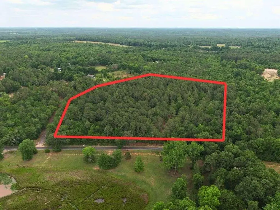 Lot 4 Holiness Church Road, Wagener, SC 29164 - #2