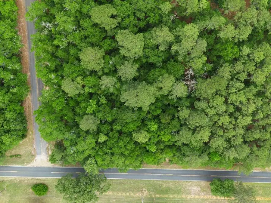 Lot 4 Holiness Church Road, Wagener, SC 29164 - #3