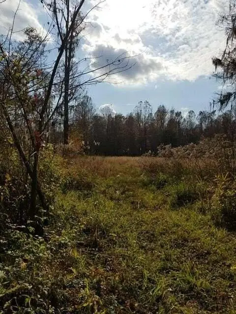 0 Kathwood Lane, Jackson, SC 29831 - #2