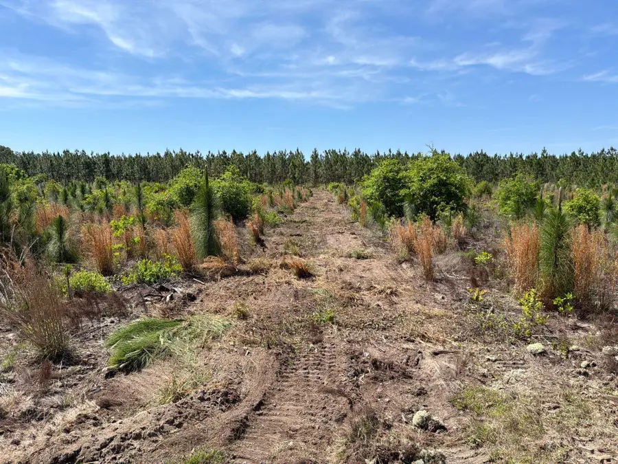 Hrf 5 Holstein Road #Hrf 5, Wagener, SC 29164 - #3