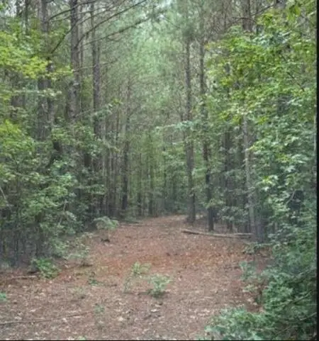5a Old Edgefield Road, Ninety Six, SC 29666 - #2