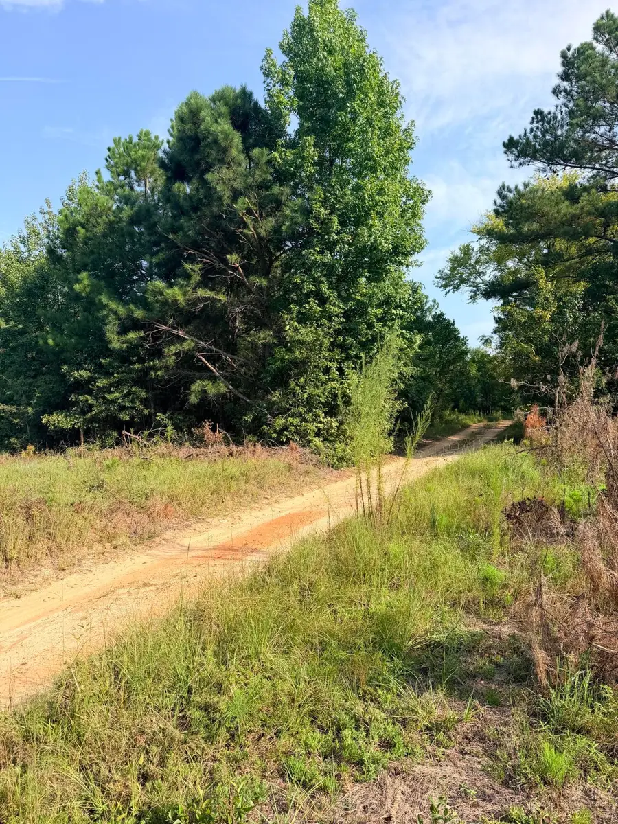 141 Autumn Chase Lane, Beech Island, SC 29842 - #2