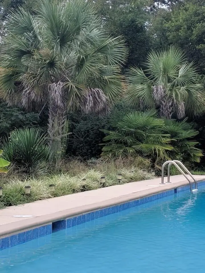 3302 Storm Branch Road, Beech Island, SC 29842 - #3