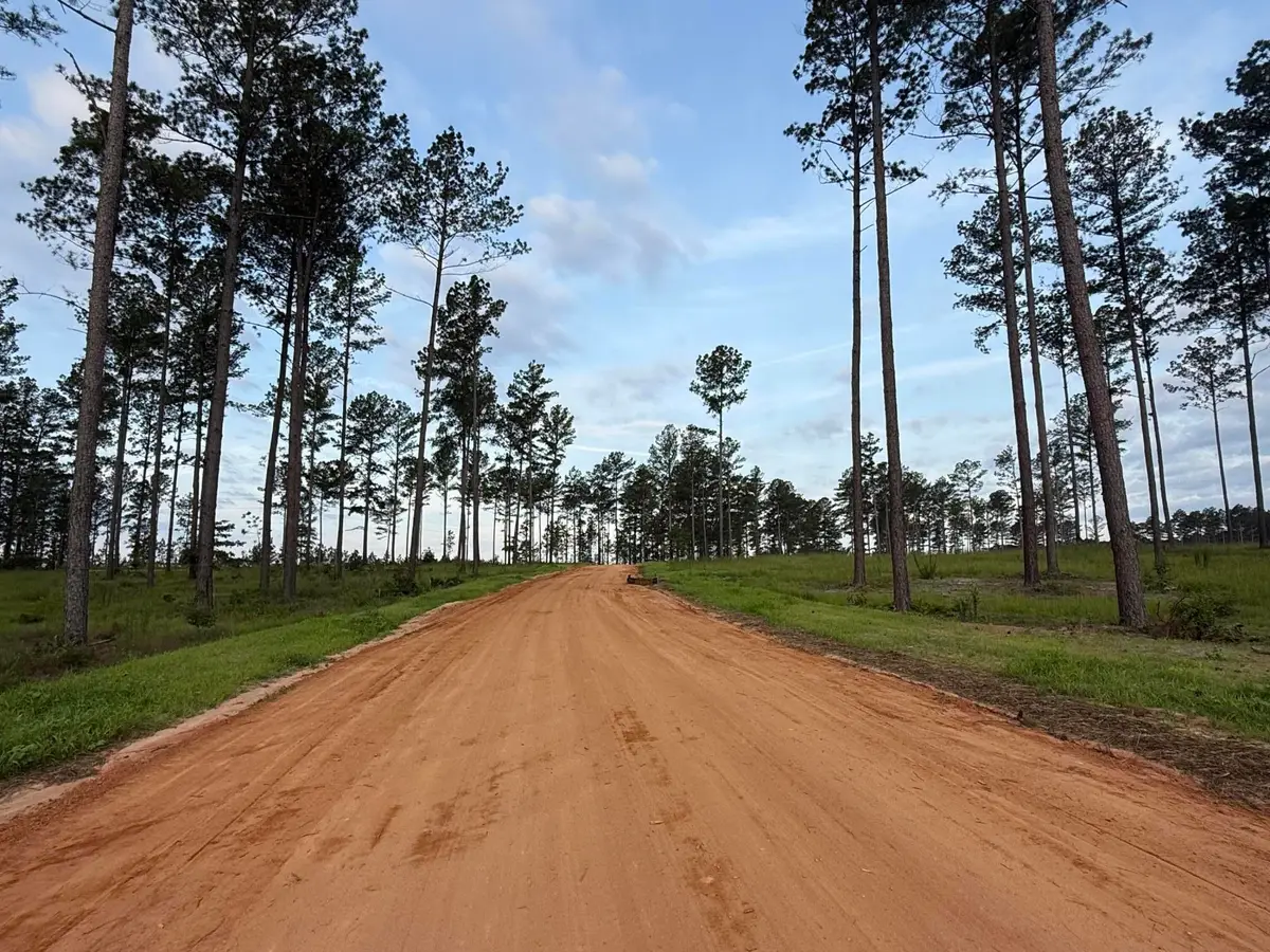 Lot #38 NW Ryndi Lane, Aiken, SC 29805 - #1