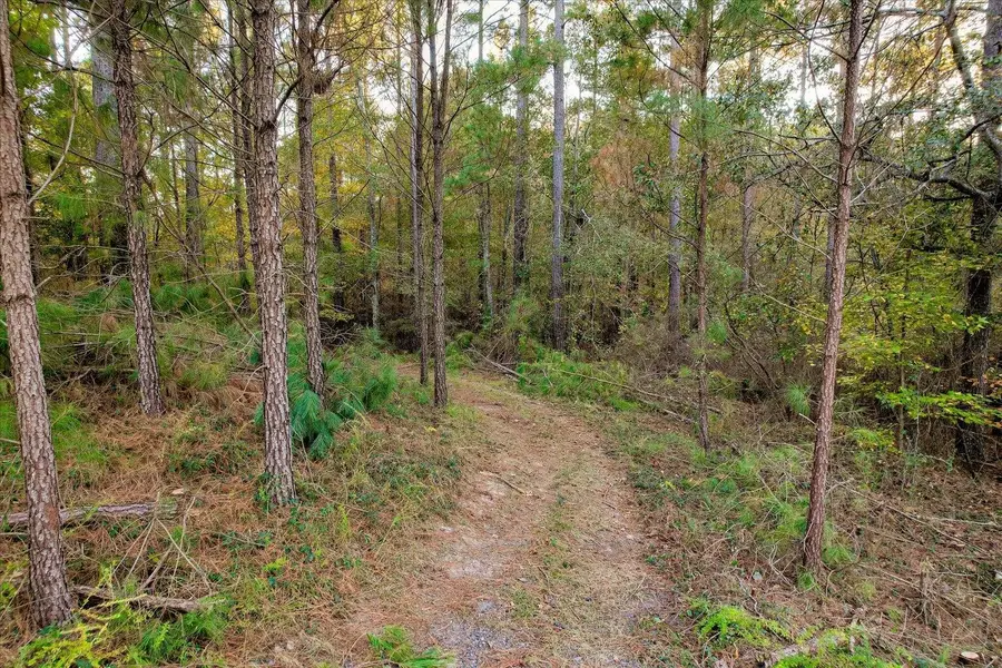 Lot 58 Lake Forest Lane, Aiken, SC 29803 - #2