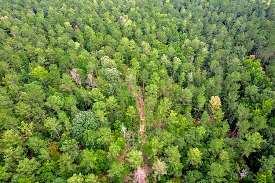 157 Promised Land Road, Edgefield, SC 29824 - #2
