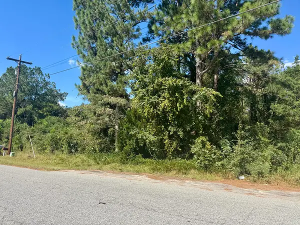 00 S Boundary Avenue, New Ellenton, SC 29809