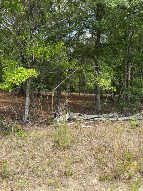 Lot D Warbonnet Road, Salley, SC 29137