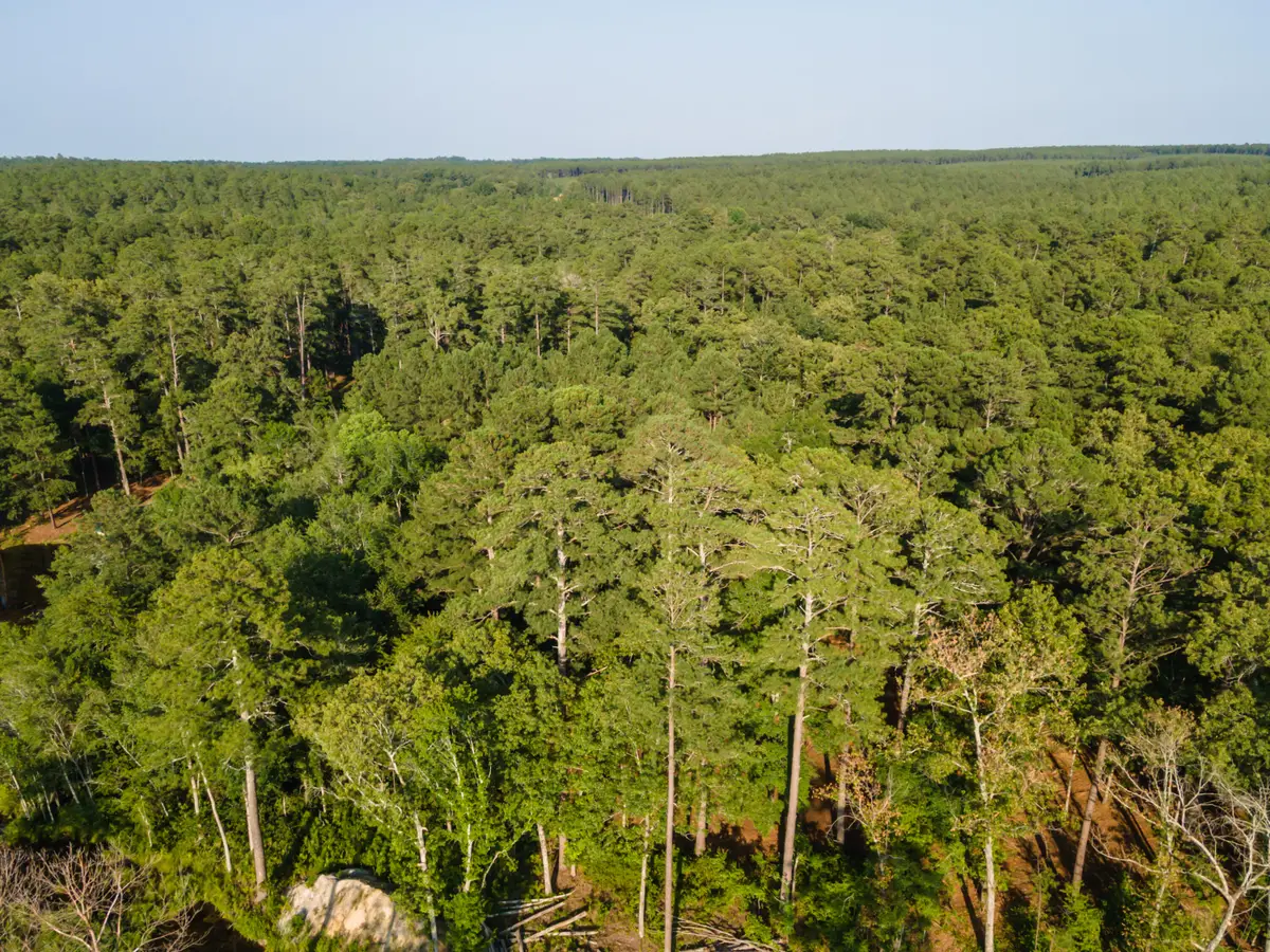 Tbd Edisto Lake Road #39, Wagener, SC 29164 - #1