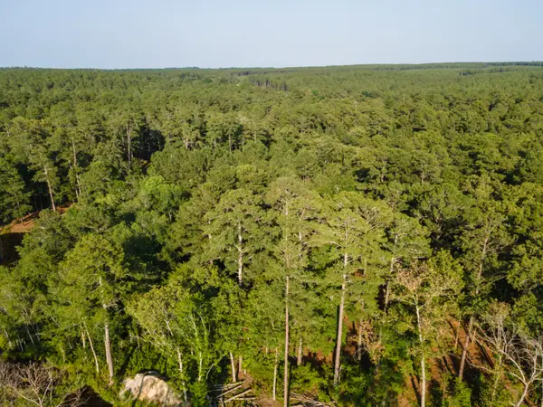Tbd Edisto Lake Road #39, Wagener, SC 29164