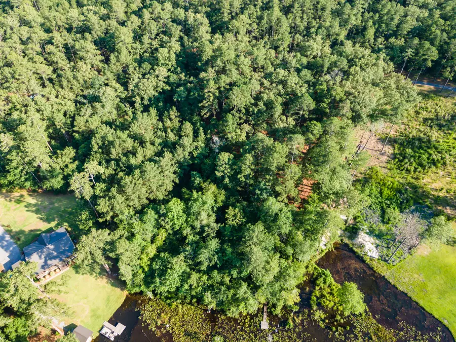 Tbd Edisto Lake Road #39, Wagener, SC 29164 - #3