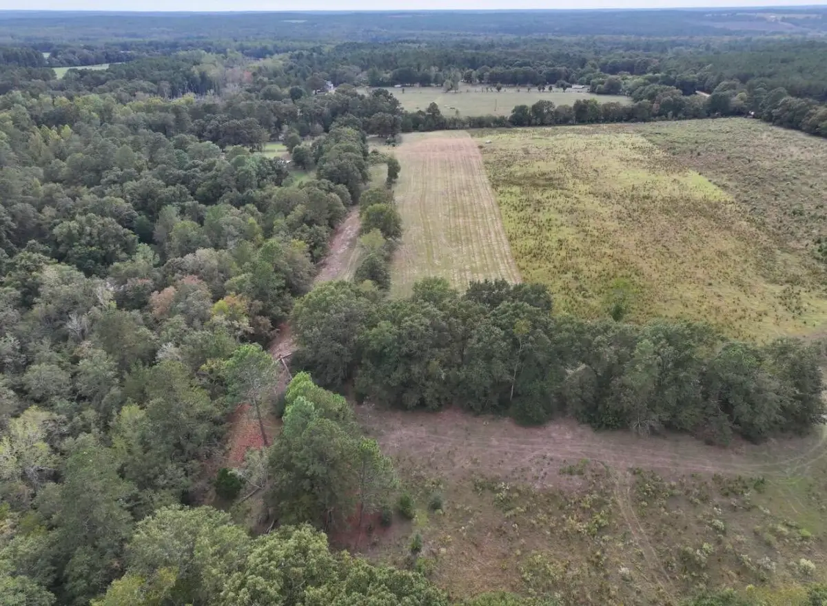 664 Flowing Well Road, Wagener, SC 29164 - #1