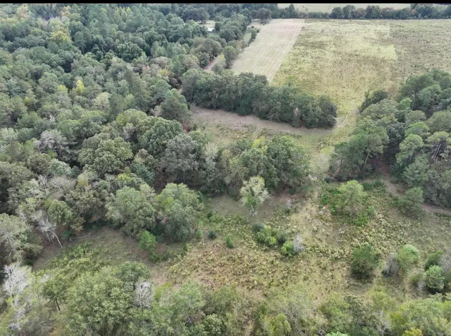 664 Flowing Well Road, Wagener, SC 29164 - #3