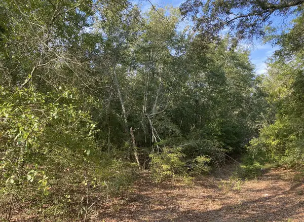 581 Ready Pond Road, Batesburg-Leesville, SC 29006
