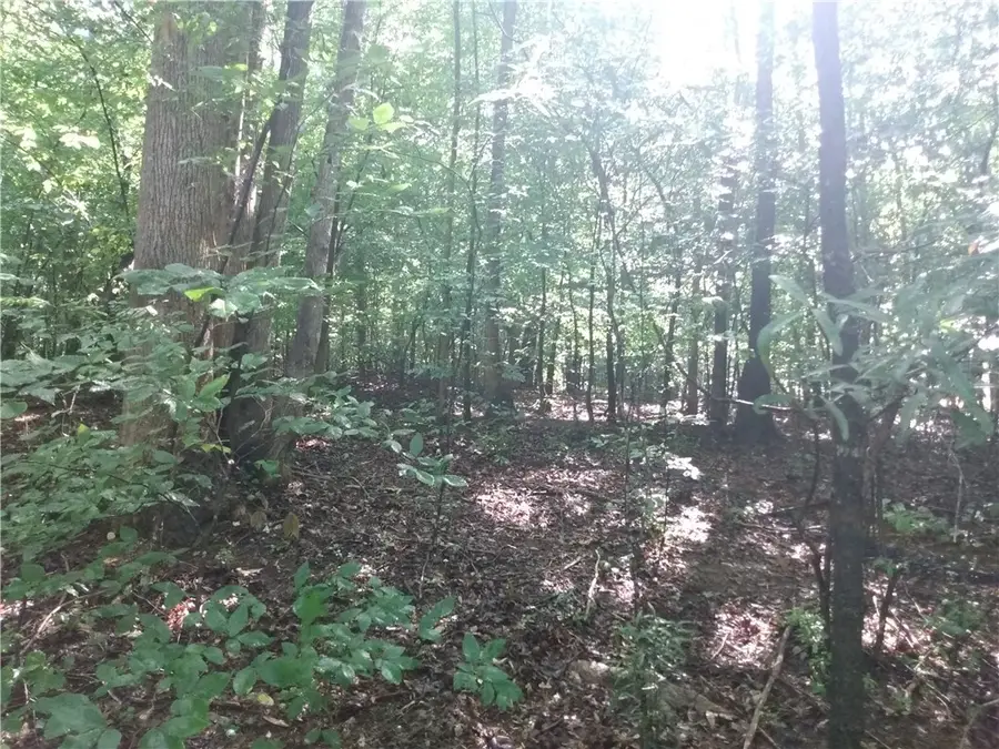 0 Bow Drive, Lavonia, GA 30553 - #2