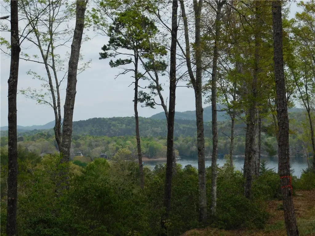 Lot 1 Old Chapman Bridge Road, Salem, SC 29676 - #1