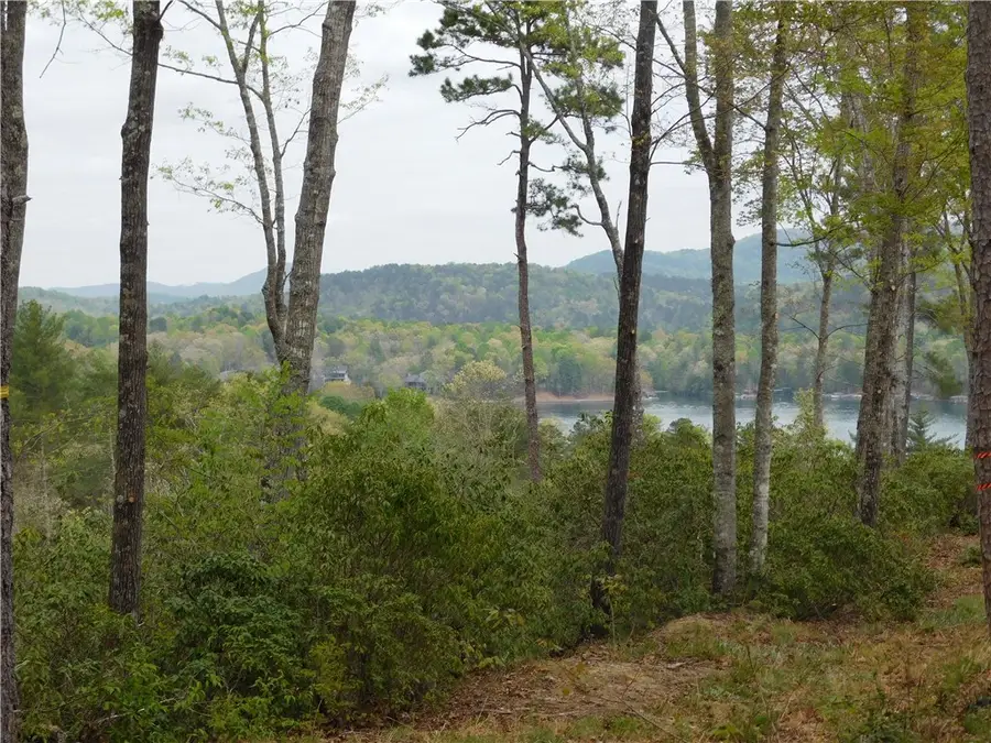 Lot 1 Old Chapman Bridge Road, Salem, SC 29676 - #2