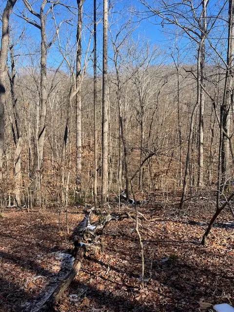 00 N Sundew Drive, Westminster, SC 29693 - #1