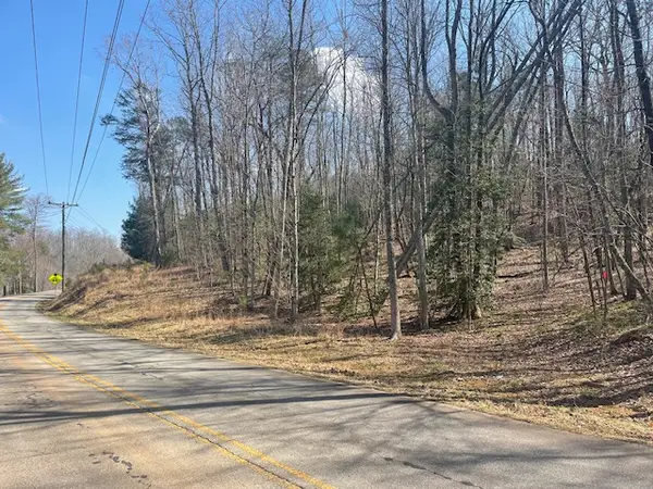 00 Burts Road, Marietta, SC 29661