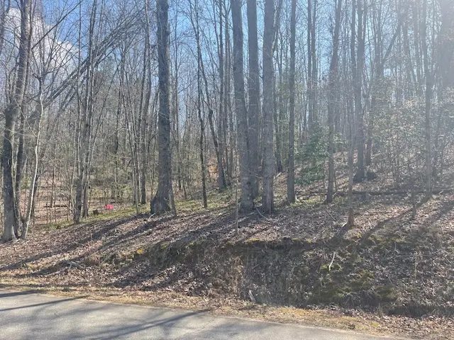 00 Burts Road, Marietta, SC 29661 - #3