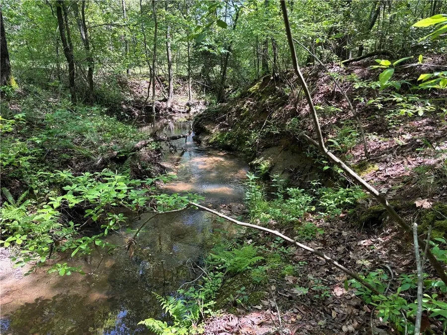 1940 Pleasant Hill Road #Lot 3-B, Greer, SC 29651 - Image #2