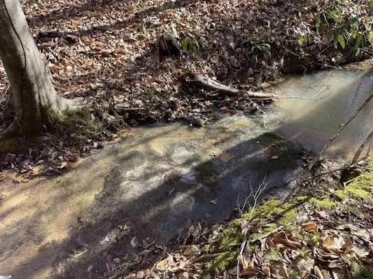 00 Beardon Hollow Road, Westminster, SC 29693 - #2