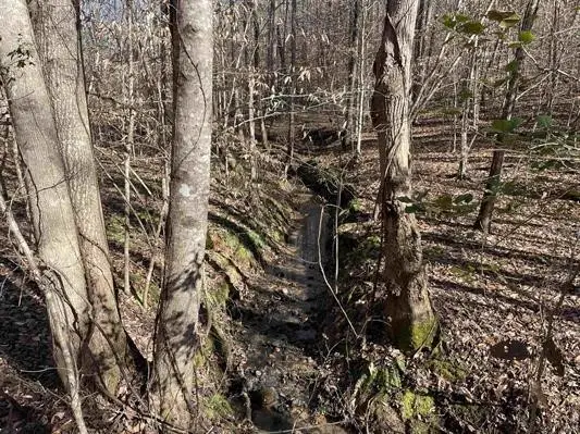 00 Beardon Hollow Road, Westminster, SC 29693 - #3