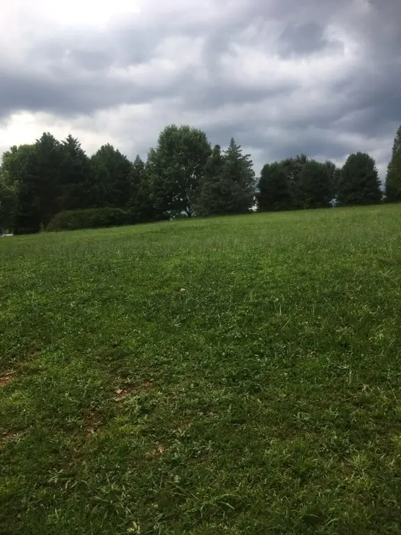 0 Lakeview Drive, Greenville, SC 29611 - Image #2