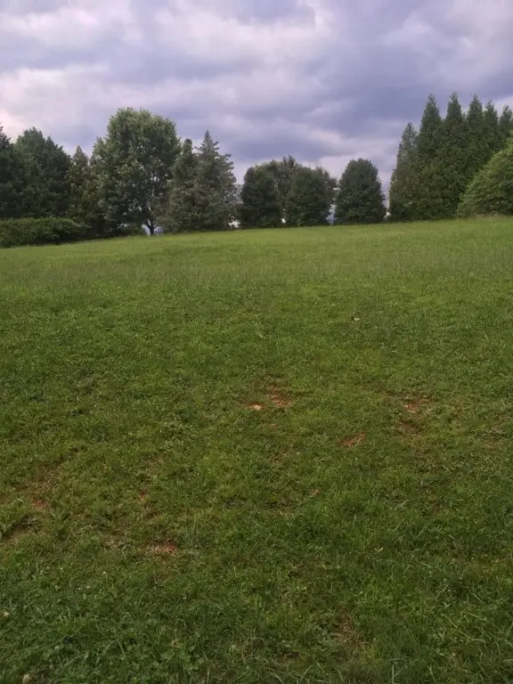 0 Lakeview Drive, Greenville, SC 29611 - Image #3