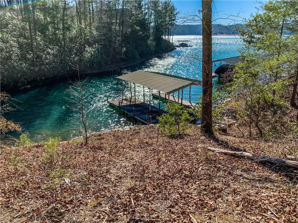 S78 Red Buckeye Trail, Sunset, SC 29685 - Image #1